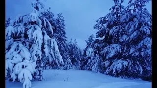 Сказочный зимний январский вечер.