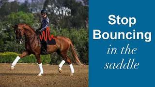 Learn to Sit Your Horse's Motion