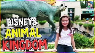 Dinosaurier & Achterbahnen im DISNEYS Animal Kingdom! Geschichten und Spielzeug