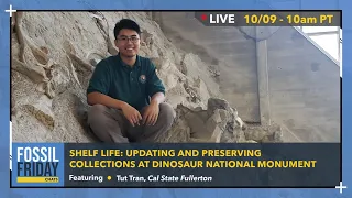 "Shelf Life: Dinosaur National Monument" w/ Tut Tran | Fossil Friday Chats