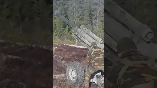 NATO Artillery in Action