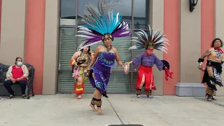 Danza Azteca venado