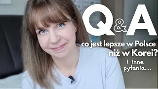 Co jest lepsze w Polsce niż w Korei? Pracoholizm, sąsiedzi i inne... Q and A z Korei