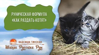 Русские Руны ★КАК РАЗДАТЬ КОТЯТ БЫСТРО В ХОРОШИЕ РУКИ ★ 100% рабочая РУНИЧЕСКАЯ ФОРМУЛА