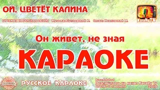 Karaoke - "Oh, viburnum blooms" Russian folk song