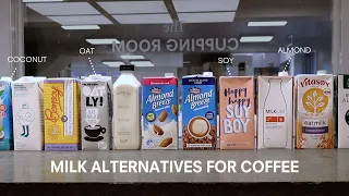 Milk Alternatives for Coffee (Tested & Compared)