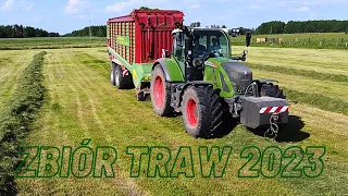 Oporowy zbiór traw 2023! Fendt & strautmann! Fendty w akcji!