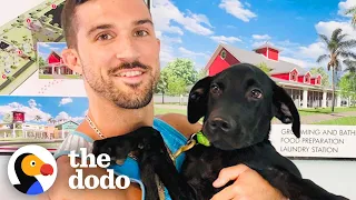 3-Legged Rescue Dog Is There For His Dad After Divorce | The Dodo