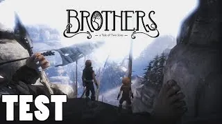 Brothers: A Tale Of Two Sons Test/Review [German]