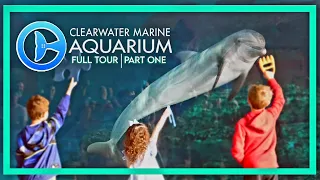 Zoo Tours: Clearwater Marine Aquarium | Full Tour | PART ONE