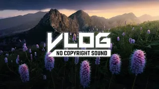 Konqeson - Pina Colada (Vlog No Copyright Sound)