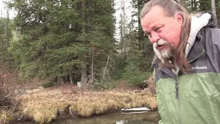 Epic Beaver Bigfoot Tracking Sinks Sasquatch