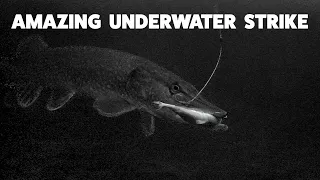 AMAZING Underwater Strike! (Ice Fishing For Shallow Water Pike + Walleye)
