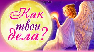 Мой хороший человечек, как ты? Как твои дела?