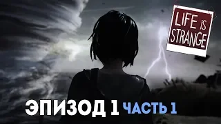 Life Is Strange Прохождение ► Эпизод 1 ► Хризалида #1