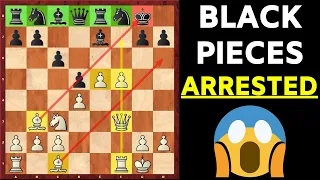 Beat the Petrov Defense as White | Crushing Gambit!