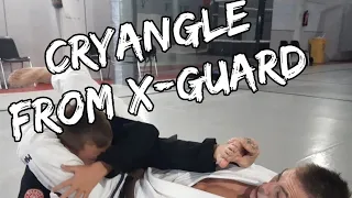 Cryangle From X-Guard
