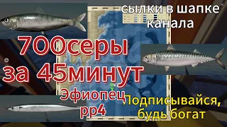 #rr4 #русскаярыбалка4 #fish 45 минут 700 серы фарм на ставках 34 банка @EfiopecRr4