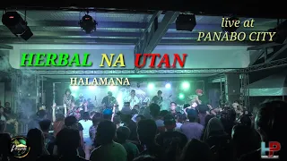 HALAMANA - Herbal na utan (live at Panabo City)