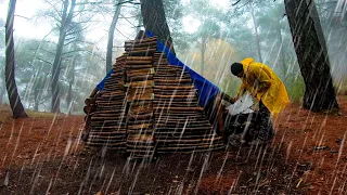 Solo Camping in Heavy Rain - Thunder in Forest,Sleeping with Relaxing Rain Sound - ASMR