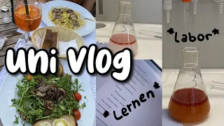 Arzneistoffe lernen, Labor, Anki personalisieren…🫶🏻 | Pharmazie Uni Vlog