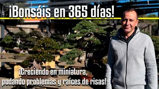 Lo mejor del 2023: Bonsáis en 365 días! Creciendo en miniatura, podando problemas y raices de risas!