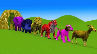 Paint & Animals Duck,Gorilla,Cow,Lion,Elephant,Sheep Fountain Crossing Transformation Animal Cartoon