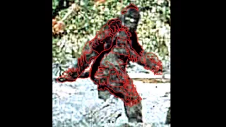 A Tale of Two Bigfoot : Revealing One Mystery of Bigfoot