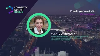 Translating Insights from Long-Lived Species – Vera Gorbunova at Longevity Summit Dublin 2023