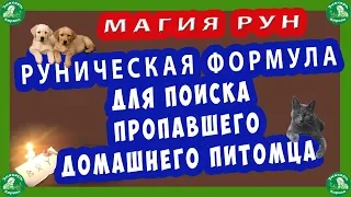 МАГИЯ РУН | РУНИЧЕСКАЯ ФОРМУЛА ДЛЯ ПОИСКА ПРОПАВШЕГО ДОМАШНЕГО ПИТОМЦА(Собака,Кошка,Попугай..).♦☮☸