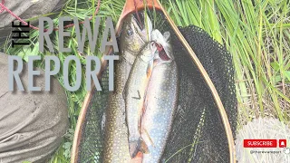 Michigan Back Country Brook Trout  Fishing Trip - Part 1