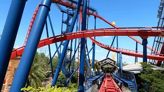 SheiKra[4k] front row × Busch Gardens FL 💥 May 2024 w/ my kids #short #shorts #viral #tampa #florida