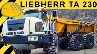 Liebherr TA 230 Dumper Einsatz - Walkaround & Demo im Steinbruch  Jobreport