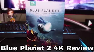 Blue Planet 2 4K Blu Ray Review