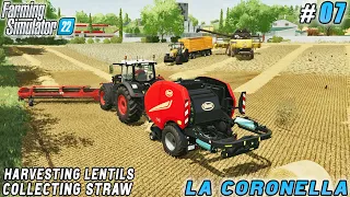 Harvesting lentils, two ways to pick up straw | La Coronella Farm | Farming simulator 22 | ep #07