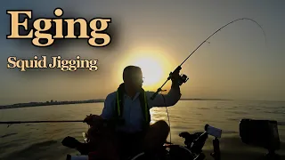 Summer Fishing for Squid -  Daytime Squid Fishing - Eging (Squid Jigging) #23