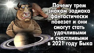 Почему кому-то фантастически повезет и они смогут стать и удачливыми, и счастливыми в 2021 году Быка