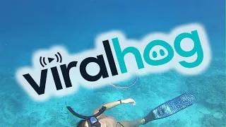 Diver Blows Perfect Bubble Rings || ViralHog