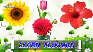 Flower names for Kids in english - Kids educational videos | Learn flower names for toddlers, babies