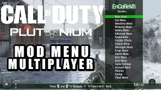 Black Ops Plutonium | How to Install Multiplayer Mod Menu (T5)