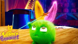 The Magical Wand | SUNNY BUNNIES | Cartoons for Kids | WildBrain Bananas