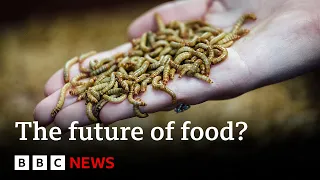 How the food we eat impacts the planet | Future Earth | BBC News