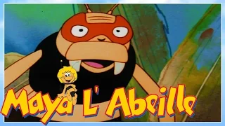 Maya l'abeille - épisode 25 - Le faux frelon héroïque