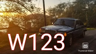 W123 Window Switches complete guide