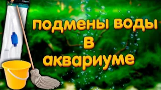 Подмены воды в аквариуме. Сколько, как часто и почему.