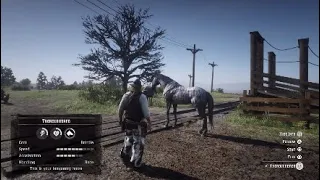 Red Dead Redemption 2 Brindle Thoroughbred Speed And Stamina Test Bonding Level 1