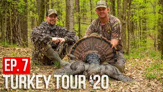 MISSISSIPPI PUBLIC LAND GOBBLER! - Hunting Creek Bottom Turkeys