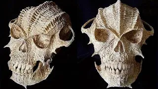 10 Most Bizarre Skulls And Skeletons Found!