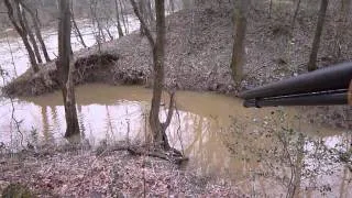 GUN CAM: Beaver Hunting High Water With .22