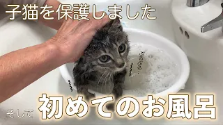 Rescue a kitten  | Japan | #1